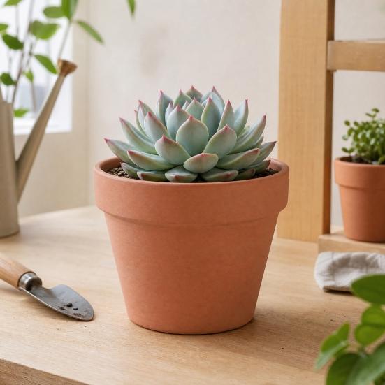 Terrakotta Blumentopf, Ton Pflanztopf mit Drainageloch, Poröser Terrakotta Pflanzgefäß für Innen Außen Pflanzen Sukkulenten Kakteen Kräuter