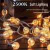 Outdoor LED Crystal Ball String Lights
