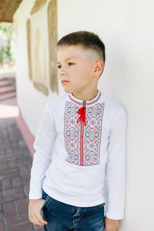 Shirt (boys) ,  Any Season ,   Nosi Svoe,  9943-038-22V