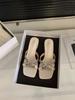 Fairy Style Silver Cool Slippers Outer Wear 2025 Summer New Middle Heel Square Head French with Skirt Sandals Women's Shoes