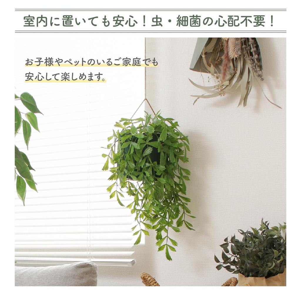 Fuji Boeki Fake Greenery, Artificial Houseplant, Peacock Palm, 26cm Wide X 20cm Deep X 32cm High, Hanging Pot, 41124