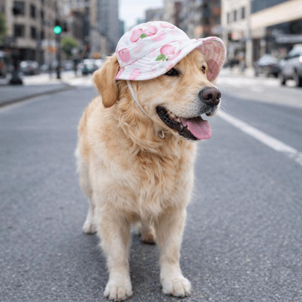 Breathable Pet Sun Hat Adjustable Pet Visor Hat Fashion Cat Fisherman Hat  Summer Outing