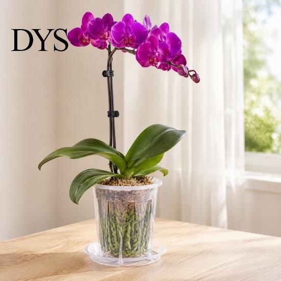 Orchid Planter with Saucer Clear Pot Saucer, Phalaenopsis Drainage Home Decor Plant Holes, Slotted Root Control Flower for Oncidium