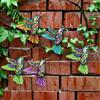 Contemporary Home Aesthetic Art Metal Hummingbird Wall Decor, Iron Colorful Bird Fence Decoration, Anti Rust Outdoor Decor Sculpture Hanging Ornaments