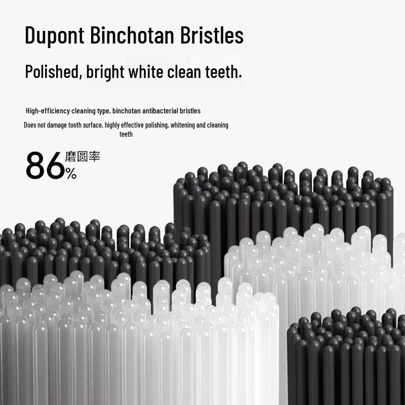 Lebooo LTB-203556A Sonic Electric Toothbrush CN plug (adapter included)