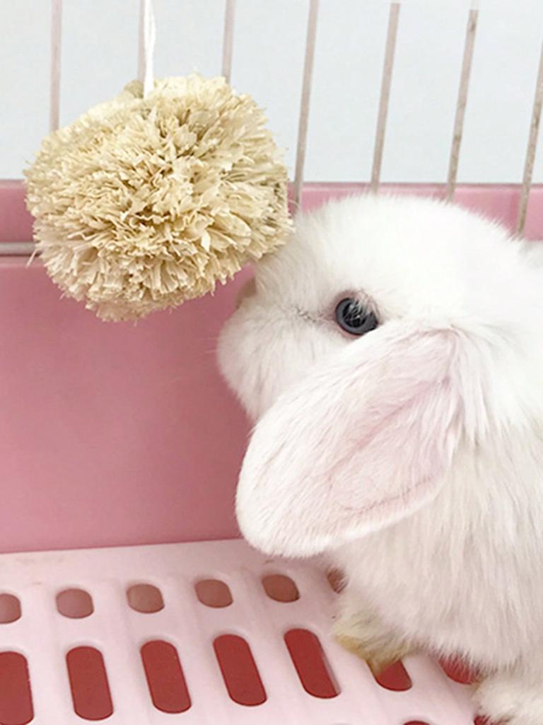 1 Stück-Kaninchen Maisblattball Kaninchen Meerschweinchen Totoro Zahnabnutzungsspielzeug Snack Maisblatt Zahnabnutzungsball