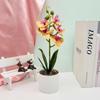 Artificial Plastic Phalaenopsis Flower Bonsai For Event Decoration Home Styling