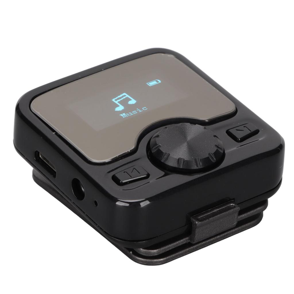 MP3 Player HD Noise Reduction USB Charging Voice Activated Recorder Music Player with FM Radio for