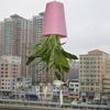 plastic Inverted Sky Garden Hanging Pot 360-Degree Rotation Upside Down Planter Flowerpot  Garden