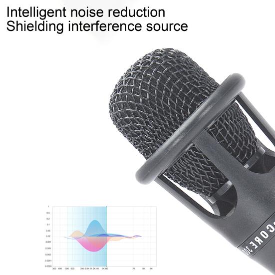 E300 Condenser Microphone Professional High Sensitivity Computer Karaoke Handheld Microphone with Audio Cable for Studio Recording