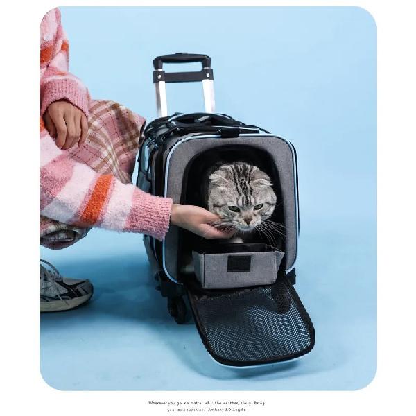 Expandable Drawbar Bag, Cat Bag, Portable Outdoor Cat and Dog Pet Bag, Breathable Portable Air Box, Cat Bag 2026 New