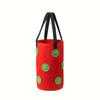 1pc Contemporary Geometric Pattern Plastic Plant Growing Bag, Wall Hanging Strawberry Planter, Lightweight, Indoor & Patio Use