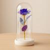 High Quality Wooden Eternal Rose Flower with Transparent Lampshade Exquisite Artificial Flower Simulation Roses Bridesmaid Gifts