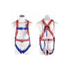 Lieve Full Body Five-Point Fall Protection Harness with 3m Single Lanyard