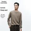 Peacebird Men's Crew Neck Pullover Sweater