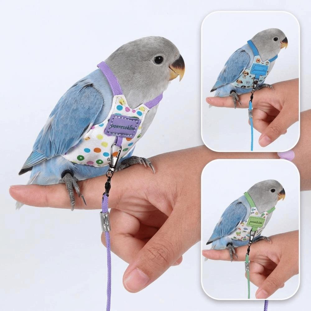 Adjustable Parrot Flying Harness Anti-Bite Parrot Flight Harness Bird Flight Suit  Small Parrots