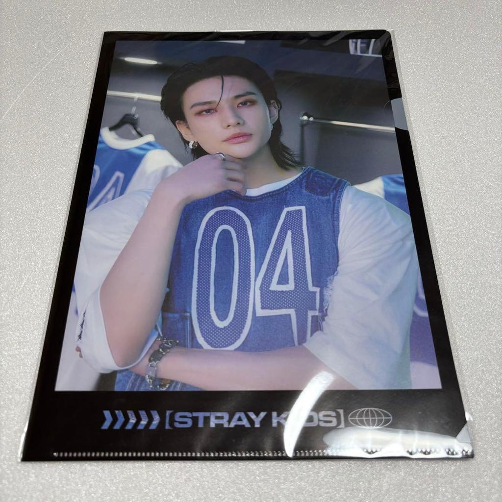 [USED] StrayKids Hyunjin Social Path Poster Clear File