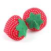 6cm Strawberry Pin Pack Cloth Needle Toolkit