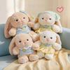 Creative And Adorable Plush Toys, Perfect For Holiday Gifts, Birthday Gifts, And Companionship Gifts For Children