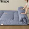 Solid Color Foldable High Quality Soft Mattress School Dormitory Bed Mattress Pads Winter Thickened Plush Bedroom Bed Sheet Tatami Plush Pad