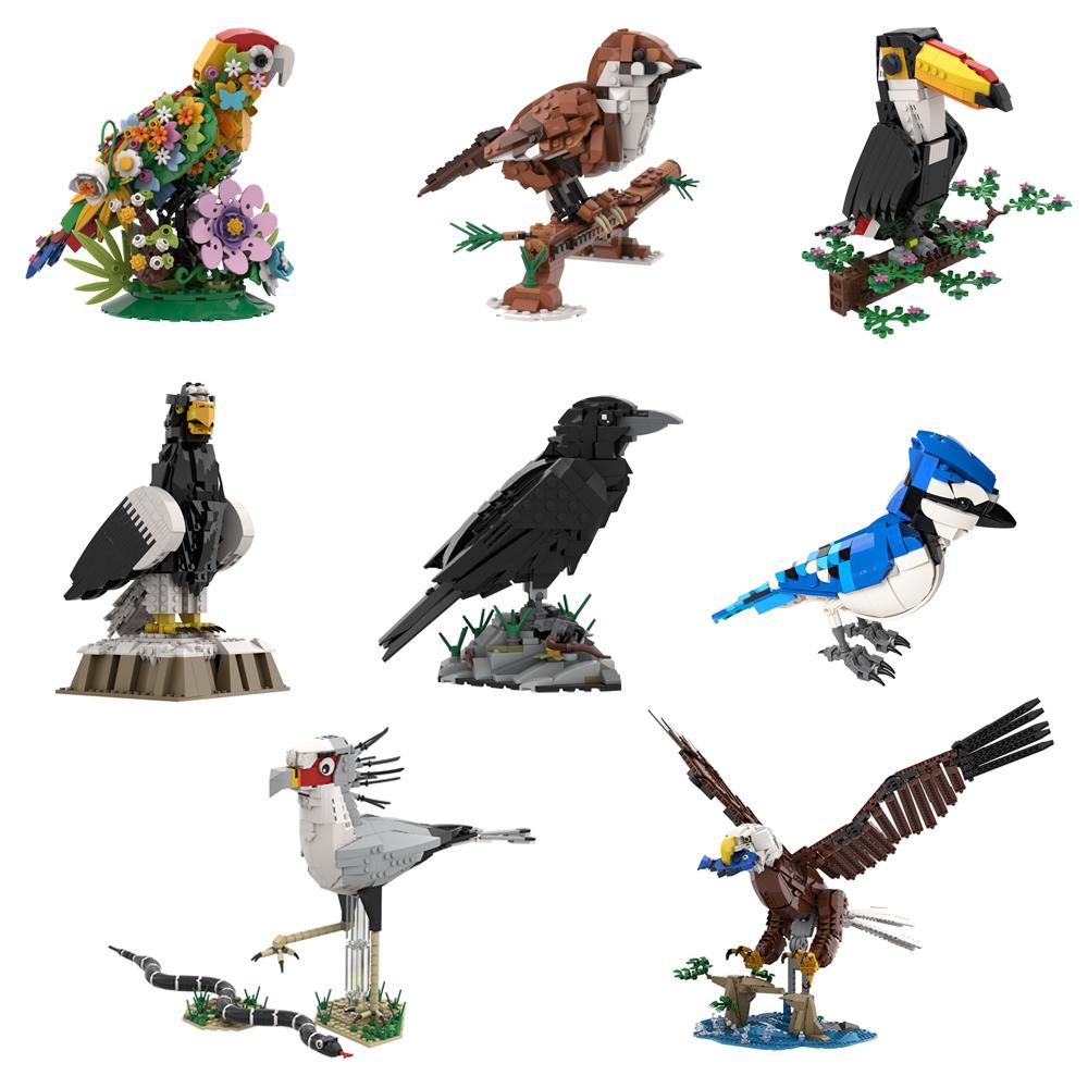 MOC Bluejay Blocchi da Costruzione Modello Raven Bricks Aquila di mare di Steller Tucano Toco Uccello Mondo Animale Giocattoli da Assemblaggio Regalo di Compleanno per Bambino