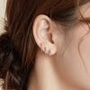WOSTU Rainbow Hoop Earrings 925 Sterling Silver Colorful Zirconia Round Circle Silver Earrings For Women Zircon Fashion Jewelry