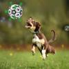 Dog Football Toy Rubber Ball Interactive Dog Training Elastic Ball Molars Bite Resistant Corgi Large Dog Pet Ball
