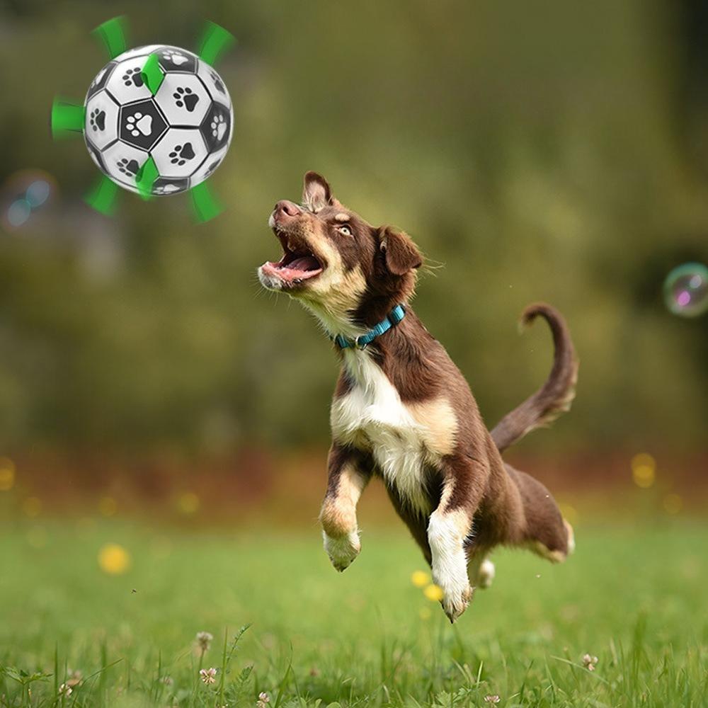 Dog Football Toy Rubber Ball Interactive Dog Training Elastic Ball Molars Bite Resistant Corgi Large Dog Pet Ball