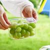 Outdoor Crisper with Lid Multi-Grid Transparent Food-Grade Container Dustproof Spill-Proof Lunch Box for Camping Picnic And Refrigerator