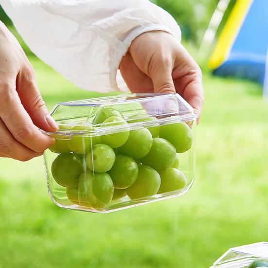 Outdoor Crisper with Lid Multi-Grid Transparent Food-Grade Container Dustproof Spill-Proof Lunch Box for Camping Picnic And Refrigerator