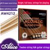 Alice AW4212 Twelve-String Folk Acoustic Guitar Phosphor Bronze String Set