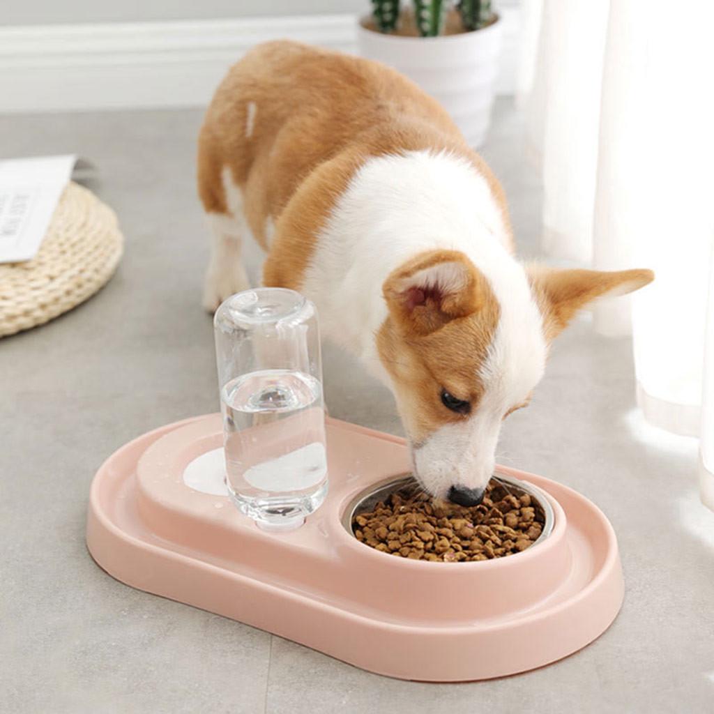 Dual-use Pet Bowl Plastic Bowl Dogs Cat Automatic Bowl Water Dispenser Feeder