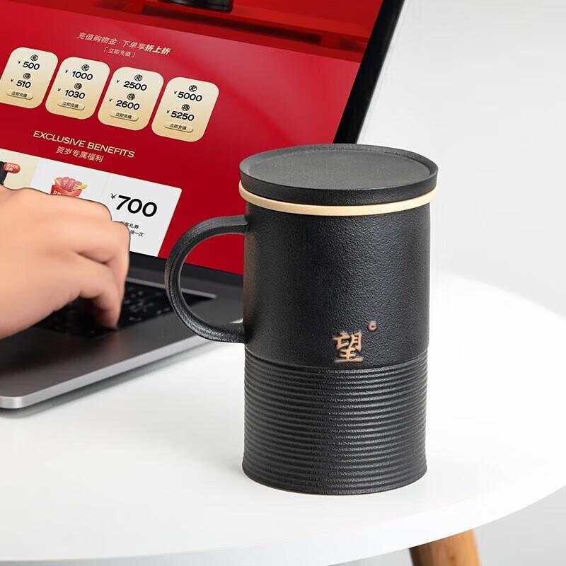 Edenus Ceramic and Stone Tea Mug with Lid and Filter
