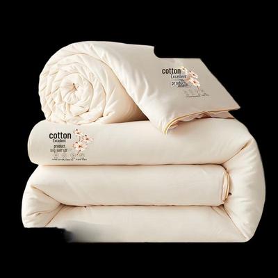 LISM All-Season Soybean Fiber Blend Quilt