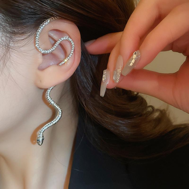 Silver needle zircon curved snake winding stud earrings niche design earrings earrings
