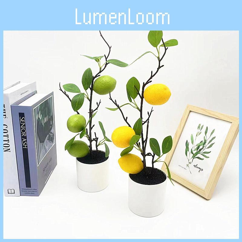 Green Lemon Plant Decor With Faux Fruits For Home Styling And Props Photography