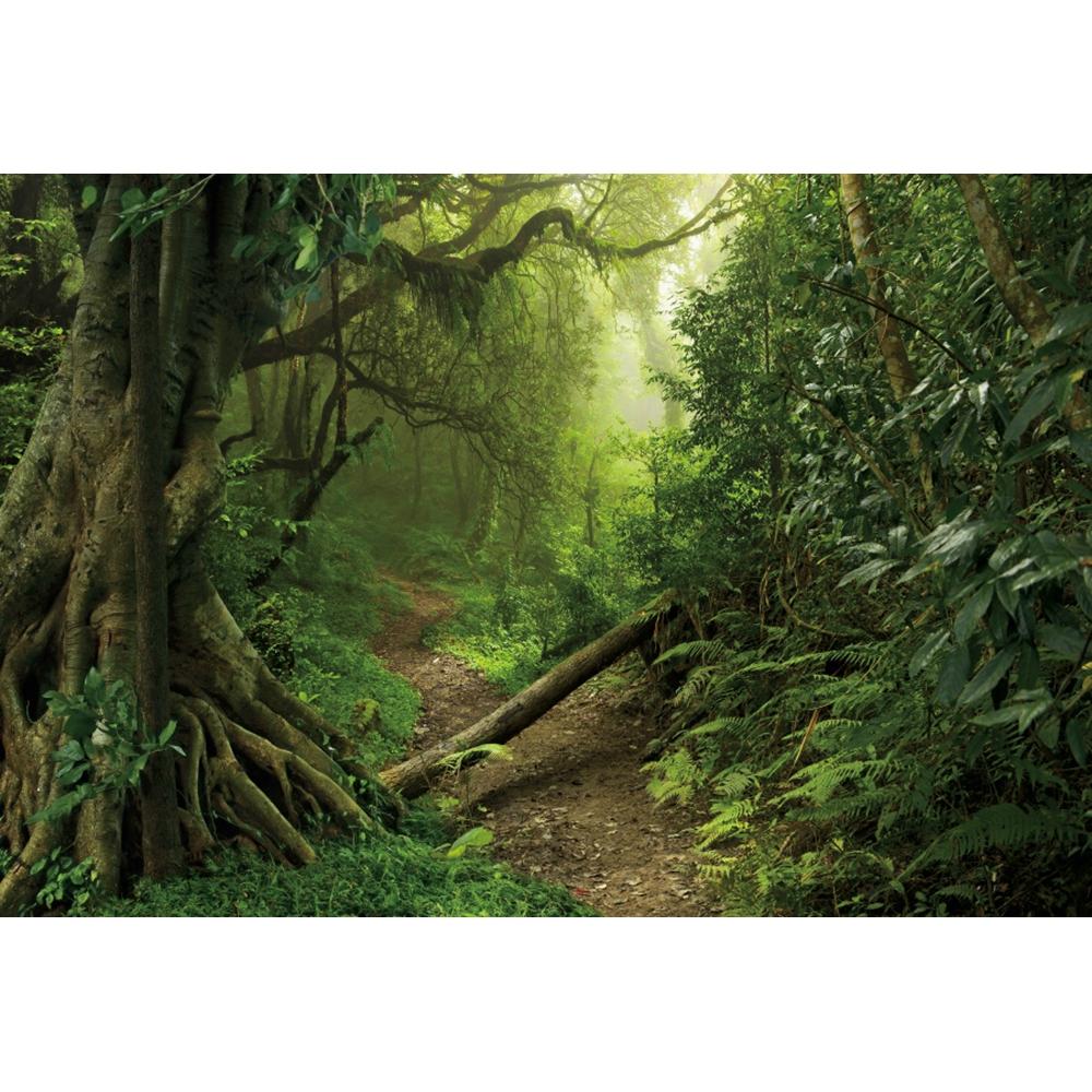 Spring Forest Backdrop Tropical Jungle Rainforest Backdrops for Photography Camping Adventure Birthday Background Photo Studio