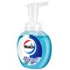 Walch Healthy Care Antibacterial Foam Hand Wash