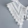 Perfect Match Lace Hollow Out Fake Collars For Women Floral Embroidered Detachable Collar Female Removable Cotton Polyester False Collar