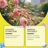 The Attractant Is An Efficient Tool For Attracting Bee And Assisting In The Management Of Beekeeping In Apiaries,237ML