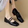 Fashion Female Fashion Low Heel Mary Jane Shoes Spring and Autumn New French Double Buckle Square Toe Single Shoes for Women with Dress
