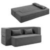 2-Seater Foam Sofa Bed, Sleeper Sofa with Wide Armrests, 2 Cushions, 360 Kg Load Capacity, Grey