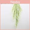Green Babylonica Salix Wall Hanging Plant For Home Party Photography And