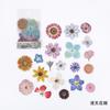 40pcs/bag Vintage Ginkgo Leaves Flowers PET Sticker Package DIY Diary Decoration Sticker Album Scrapbooking