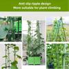 20/10pcs Green Plastic Garden Stakes - Durable Plant Support - Essential Lawn Tool for Healthy Growth, Plant Support Stakes|Stylish Garden Accessory