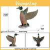 Model Duck Realistic Plastic Waterfowl Figurines Toy For Kids Play And Learning