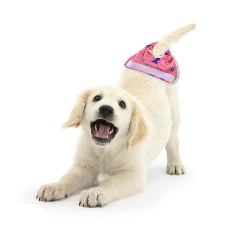 Physiologische Hosen für Haustiere, wasserdichte Stoff-Hundehygienewindeln, bedruckte Menstruations-Sicherheitshosen