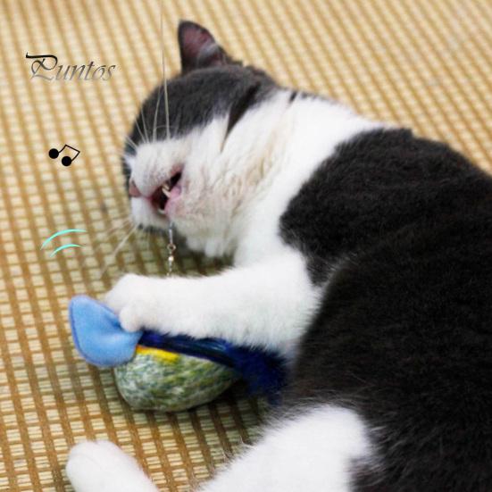 Interaktivní hračky pro kočky Závěsný plyšový pták Simulace pískavého zvuku Hračka s upoutávkou na ptáky Hravá zábava Bond s vaším mazlíčkem Kotě štěbetající hračka pro kočky