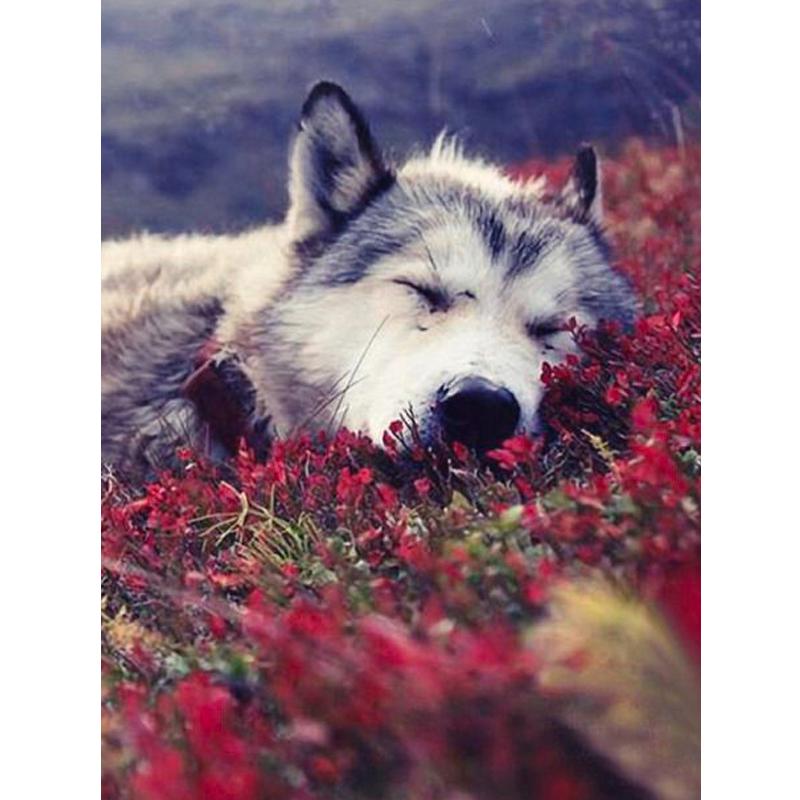 Wolf Icefield Wolf Cartoon Diamond-Painting Full Drill 40x30CM Broderie Diamant