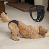 Adjustable Protective Trousers Physiological Pants Female Dog Nappies Dog Sanitary Pantie
